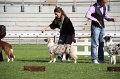 IMG_1206