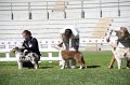 IMG_0019