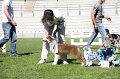IMG_0039