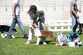 IMG_0040