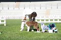 IMG_0051