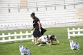 IMG_0304