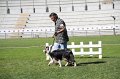 IMG_0305