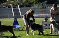 IMG_0310