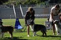 IMG_0311