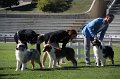 IMG_0318