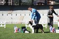 IMG_0340