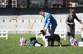 IMG_0341