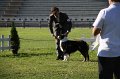 IMG_0709