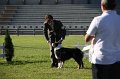 IMG_0710
