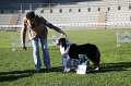 IMG_0716