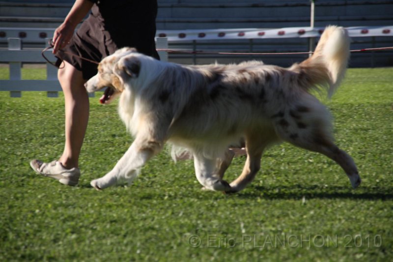 IMG_0792.JPG