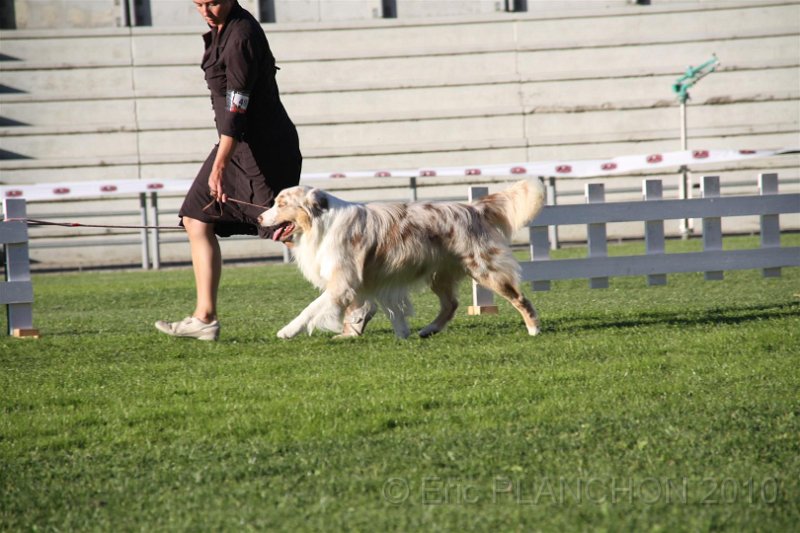 IMG_0793.JPG
