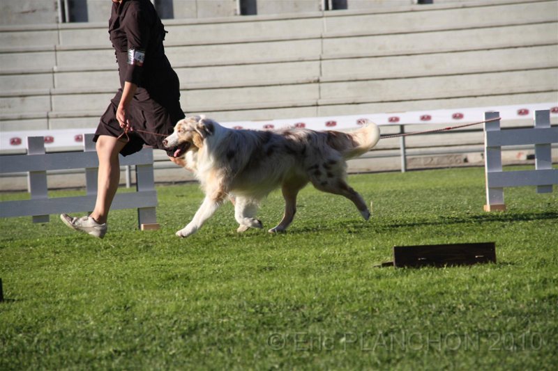 IMG_0795.JPG