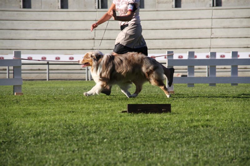 IMG_0800.JPG