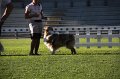 IMG_0777