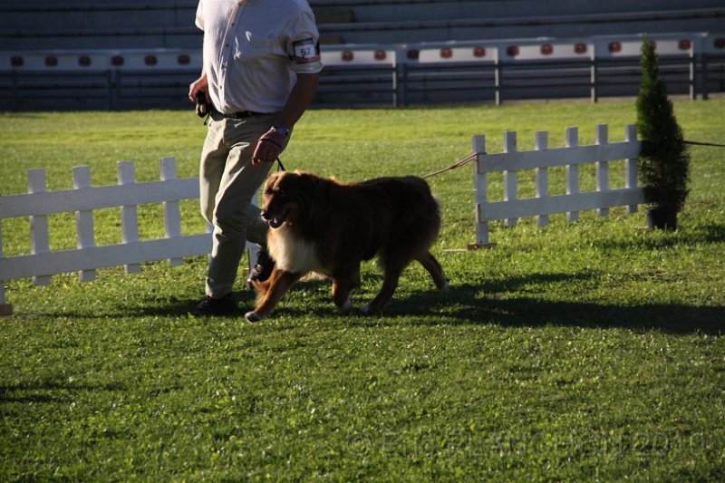 IMG_0877.JPG
