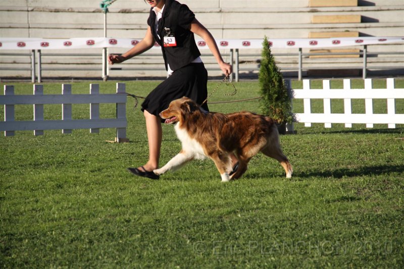IMG_0890.JPG