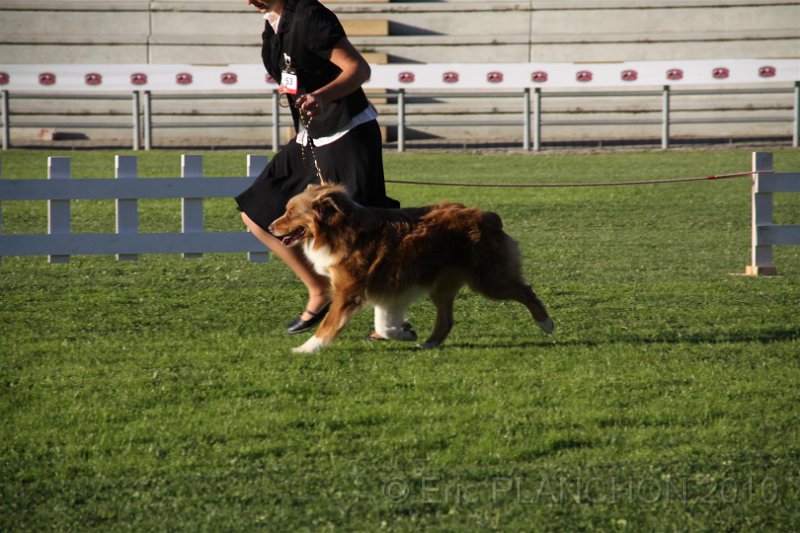 IMG_0892.JPG
