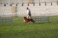 IMG_0884