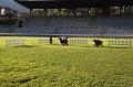 IMG_0900