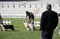 IMG_0212