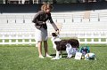 IMG_0225