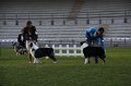 IMG_1047