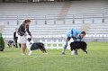 IMG_1052