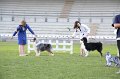 IMG_1053