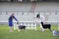 IMG_1054