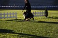 IMG_0952