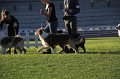 IMG_0957