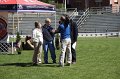 IMG_0001