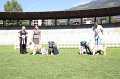 IMG_1427