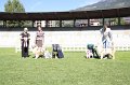 IMG_1428