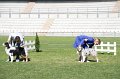 IMG_1341