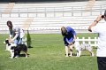 IMG_1342
