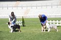 IMG_1345