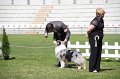 IMG_1375