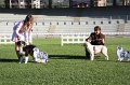 IMG_0856
