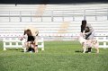 IMG_1201