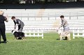 IMG_1204