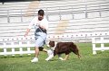 IMG_1225