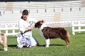 IMG_1239