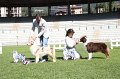 IMG_1240