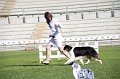 IMG_1034