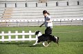 IMG_1042