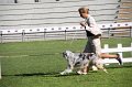 IMG_1045
