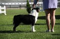 IMG_1052